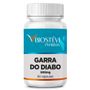 279 - Garra do Diabo 500mg 60 capsulas.jpg